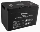 Renogy Battery Review 2021